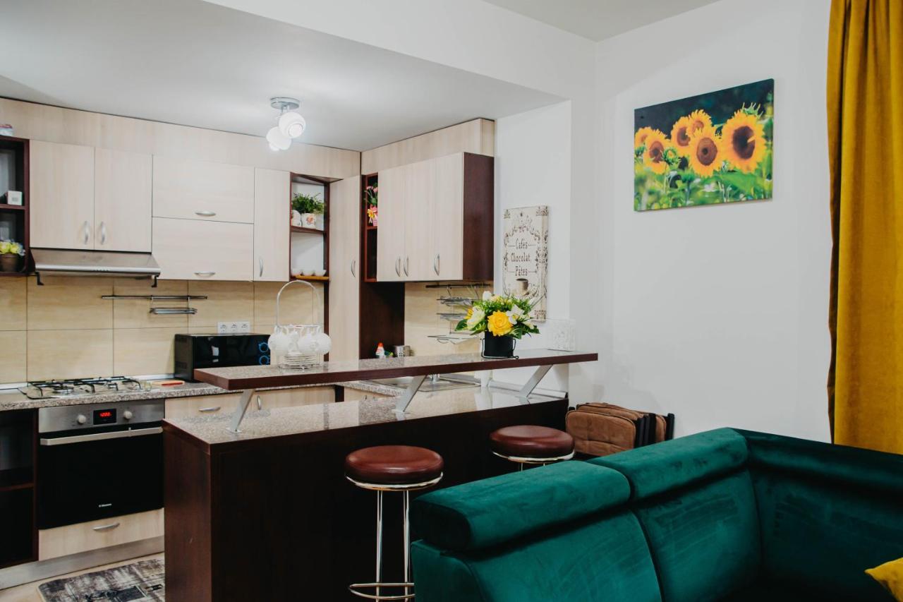 Hugo Mountain Apartment ซินายา ภายนอก รูปภาพ