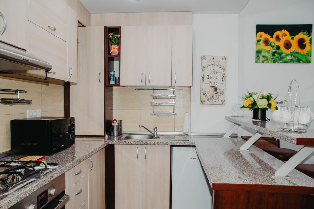 Hugo Mountain Apartment ซินายา ภายนอก รูปภาพ