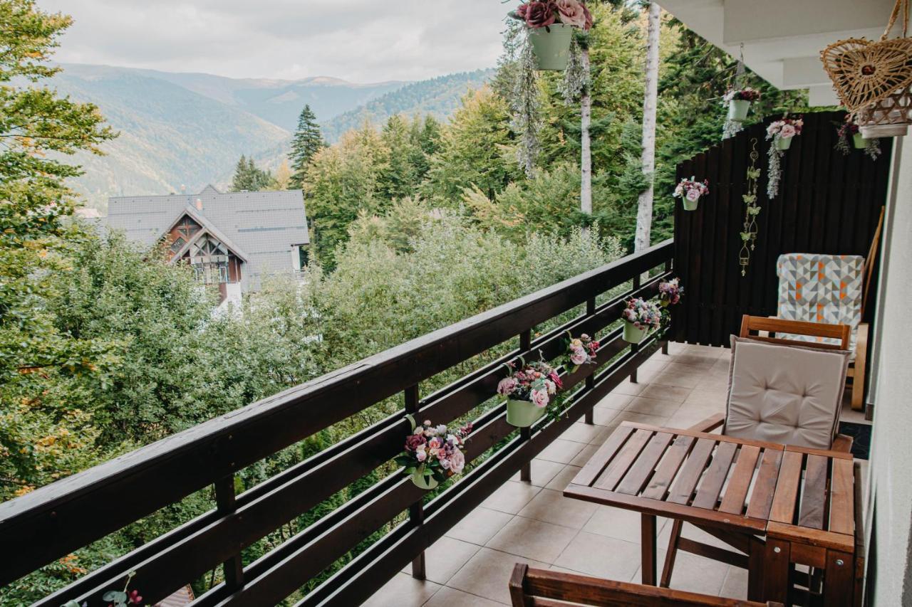 Hugo Mountain Apartment ซินายา ภายนอก รูปภาพ